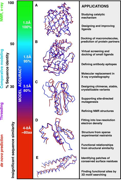 protein model accuracy chart